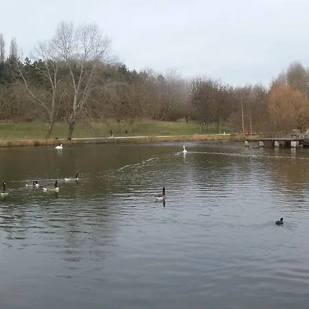 Отель Central Hotel